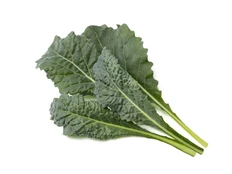 Click & Grow Smart Refill Italian Kale 3pcs | SGR86X3 kaina