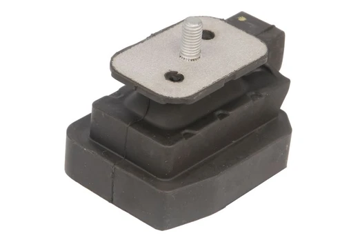 variklio montavimas TEDGUM TED95244