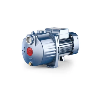 Dvipakopis siurblys Pedrollo 2CPm 80-C 230V