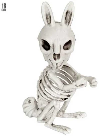 Widmann Triušio skeletas 16 cm