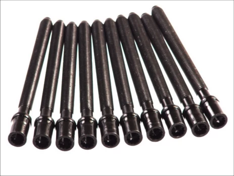 ELRING EL305430 Cylinder head bolt set