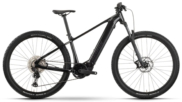 Elektrinis dviratis Raymon Hardray Ultra 800, L, 29", 800 W, 13.8 Ah, juoda/chromo