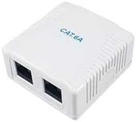 Equip Aufputzdose Cat6A 2-Port 2x RJ45 UTP