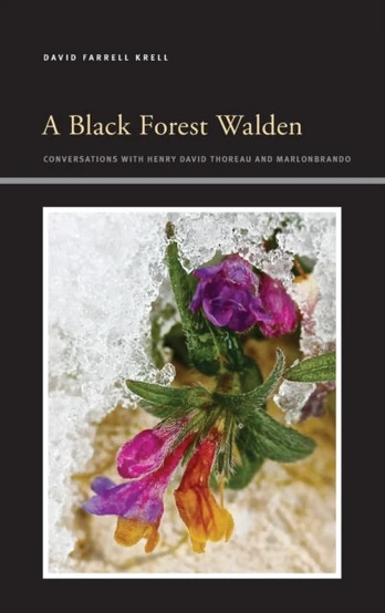 Black Forest Walden