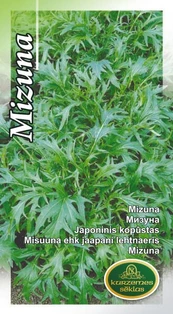 Japoninis Kopūstas