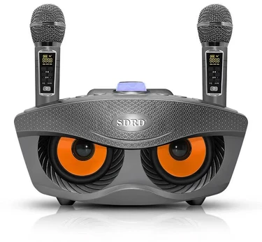 Muzikinis centras Karaoke Sd306 Plus 30w belaidis