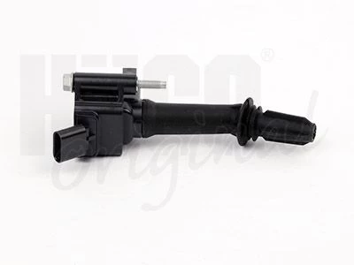 Ritė, uždegimas HITACHI 134093