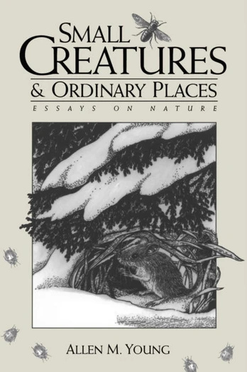 Small Creatures and Ordinary Places