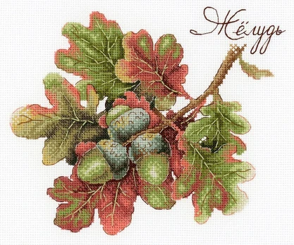 Nature gifts. Acorn SNV-769