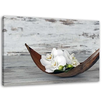 Reprodukcija Baltos orchidėjų gėlės