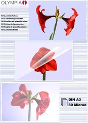 Olympia Olympia laminavimo folijos DIN A3, 50 vnt 80 mic kaina