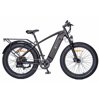 Elektrinis dviratis Dyu King 750 Lite 26'', juodas