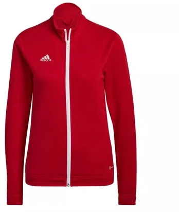 Adidas Entrada 22 Treneris W H57562 džemperis