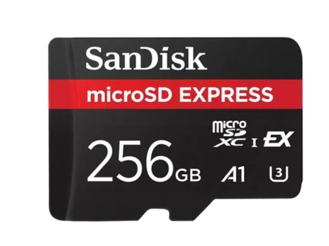 SANDISK Express microSD Card, 256GB | SDSQXFN-256G-GN4NN