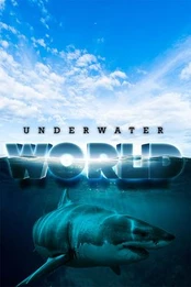 Underwater World - Colony Building Simulator PC