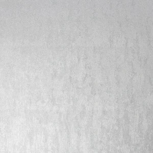 Tapetai Graham & Brown Superfresco Easy 104954, viniliniai, sidabro