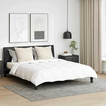 Antklodė su pagalve 3 pcs Balta 200 x 220 cm Pūkai