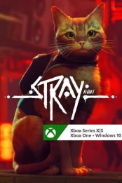 Stray PC kaina