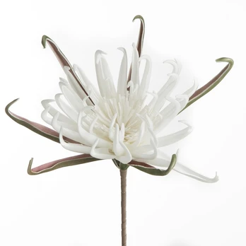 Dirbtinė šakelė Flore 827, balta sp., 62 cm