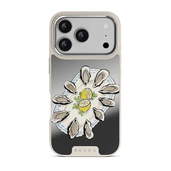 Today's Special - iPhone 17 Pro Case, Elite Mirror Light (MagSafe) / Silver