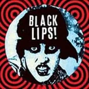 CD The Black Lips - The Black Lips
