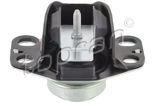 Variklio montavimas TOPRAN 700 530