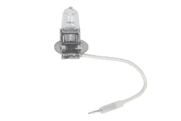 Lemputė H3 Standard (1 vnt.) 12V 55W kaina