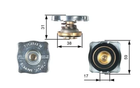 Radiatoriaus dangtelis GATES RC130 kaina