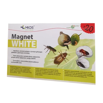 Mkds Mini MAGNET baltas (20x12 cm) – 20vnt