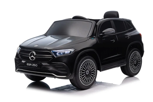 Vehicle Mercedes Benz EQA 250 Black
