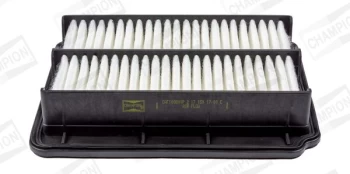 Oro filtras CHAMPION CAF100801P kaina