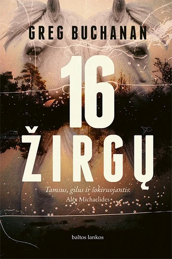 16 žirgų