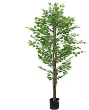 Dirbtinis fikuso augalas, žalios spalvos, 200cm, 1260 lapai kaina