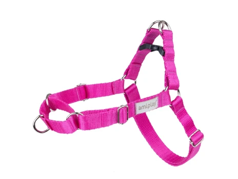 Petnešos šunims Amiplay Samba, rožinė, 650 - 950 mm x 25 mm, 65-95