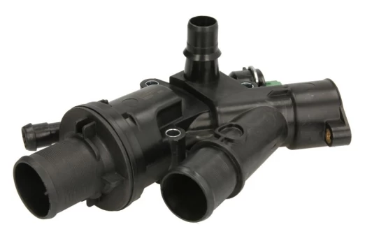 termostatas, aušinimo skystis THERMOTEC D2C008TT