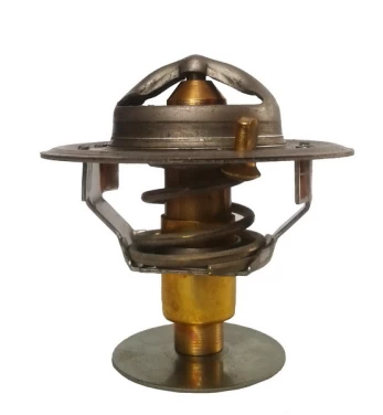 termostatas, aušinimo skystis THERMOTEC D2PE003TT
