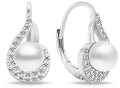 Brilio Silver Elegant sidabrinis earrings with pearls EA751W kaina