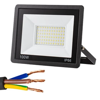 LED Prožektorius 100W 6000K IP66