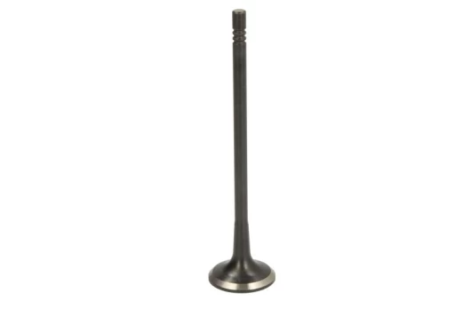FRECCIA 6896/BMNT Exhaust valve