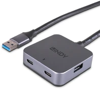 Šakotuvas LINDY 5m USB 3.0 Hub, 4 Ports 2 USB Typ C und 2 USB Typ A kaina