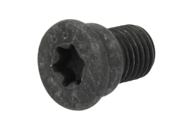 DELPHI BGK007 Brake Disc fitting bolts kaina