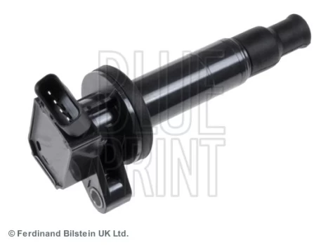 Ritė, uždegimas BLUE PRINT ADT31477