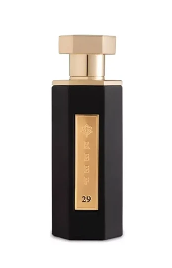 Reef 29 100ml Unisex EDP