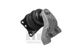Variklio montavimas TEDGUM 00729417