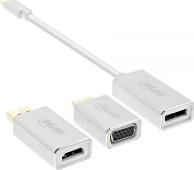 Adapteris USB InLine USB-C – DisplayPort Balta (64109S)