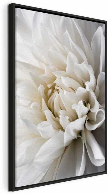 Artgeist Paveikslas - Baltas Dahlia