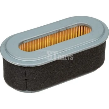 Oro filtras