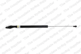 LESJOFORS LS8155415 Boot strut kaina