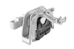 Variklio montavimas TEDGUM TED44110
