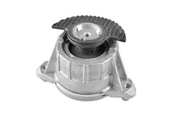 Variklio montavimas TEDGUM TED47517